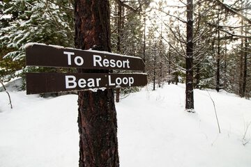 Snowshoeing