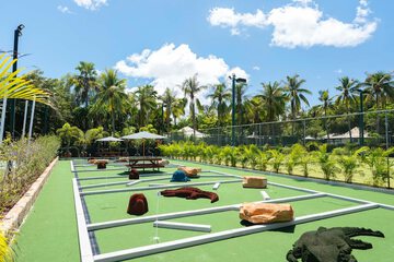 Mini-golf