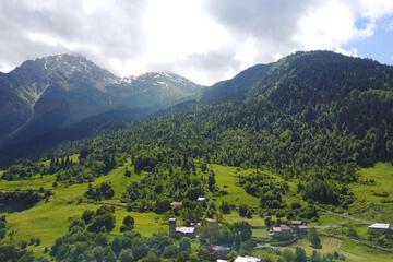 Photo 31