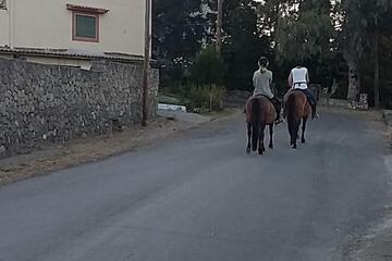 Horseback riding
