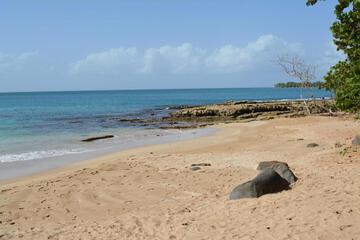Photo 41