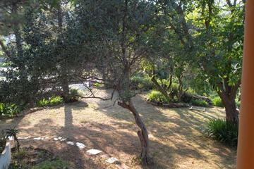 Photo 38