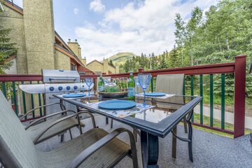 Terrace or patio
