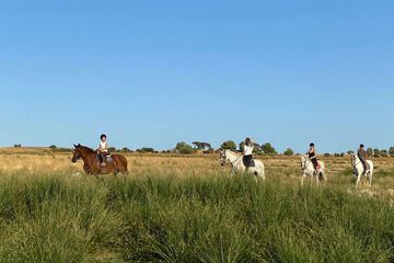 Horseback riding
