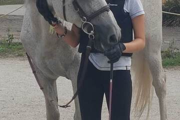 Horseback riding