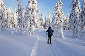 Skiing