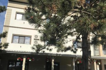 Photo 44