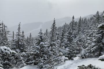 Snowboarding