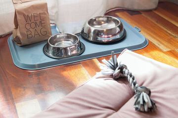 Pet-friendly amenities