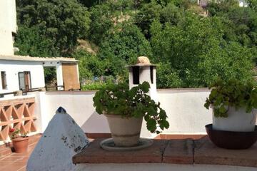 Photo 38