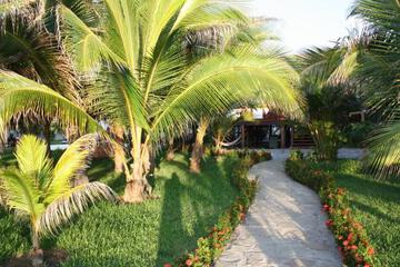 Photo 18