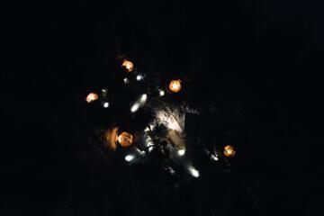 Photo 50