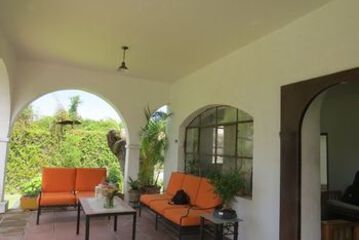 Terrace or Patio