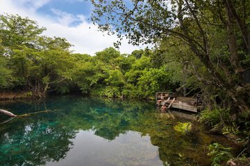Natural pool