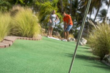 Mini-golf