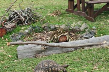 Photo 46