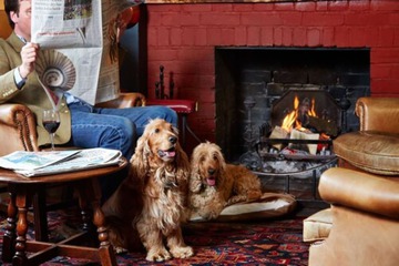 Fireplace