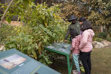 Children's activities