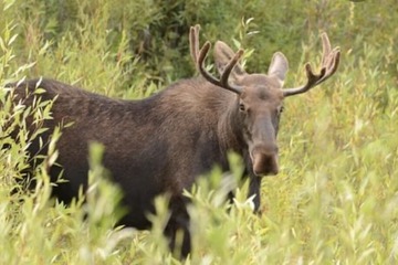 Children's activities