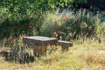 Outdoor banquet area