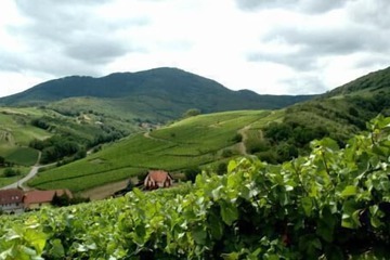 Mountain view