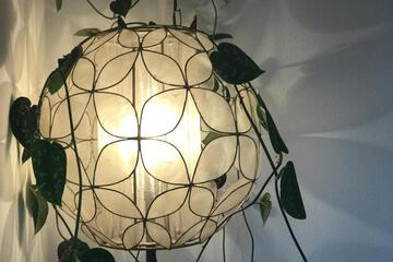 Photo 44