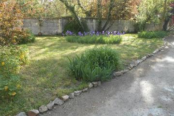 Photo 62