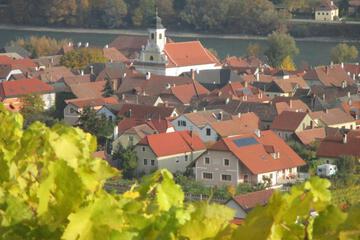 Photo 40