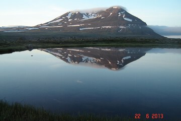 Photo 11