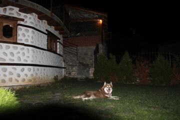 Photo 46
