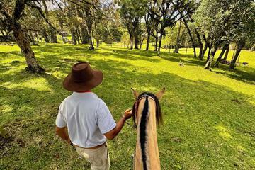 Horseback riding