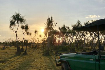 Game drive