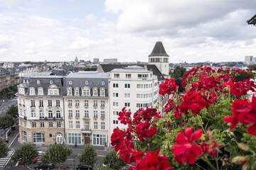 City view