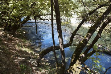 Hiking