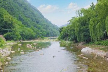 Photo 32
