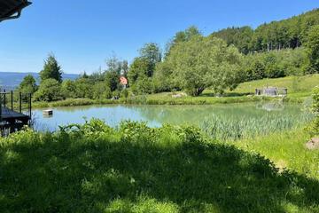 Photo 45