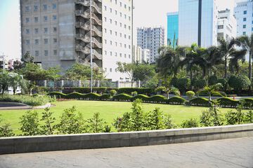 Outdoor wedding area