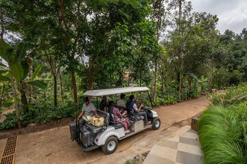 Golf cart