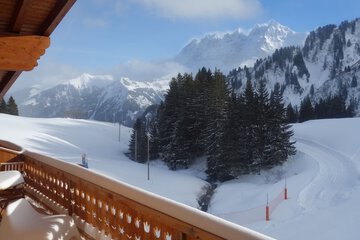 Mountain view