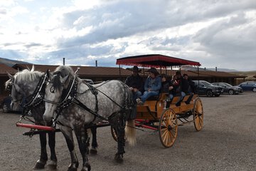 Horseback riding