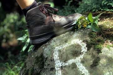 Hiking