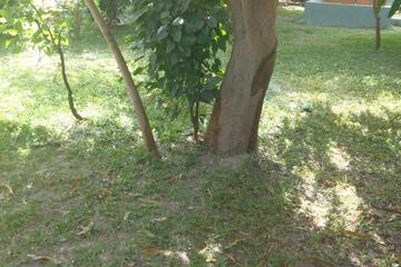 Photo 39