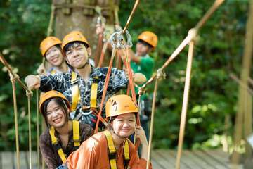 Ropes course (team building)