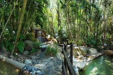 Surrounding environment