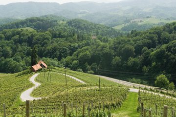 Winery