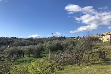 Land view from property