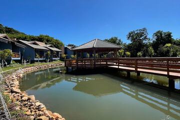 Lake view
