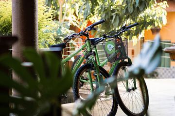 Bicycling