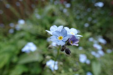 Photo 58