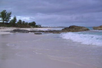 Beach or Ocean View